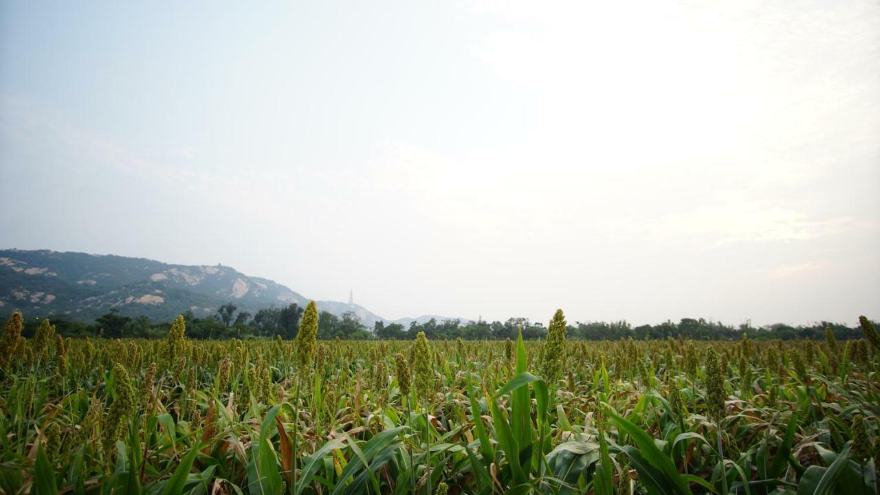 金門廣緣民宿 Guang Yuan B&B Jinsha Buitenkant foto