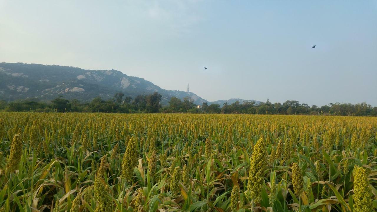 金門廣緣民宿 Guang Yuan B&B Jinsha Buitenkant foto
